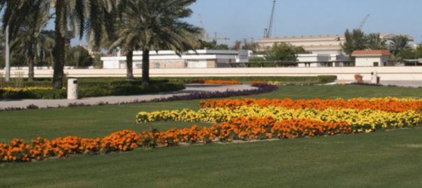 Let us champion “Biodiversinesque” landscape design for the 21st century