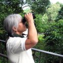 Lena Chan