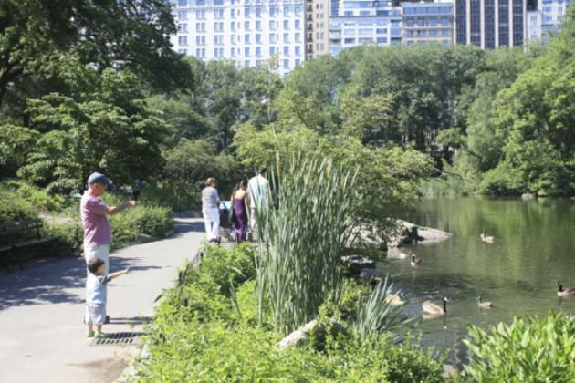 CentralParkNYC(PhotoDavidMaddox)