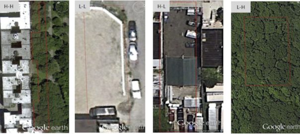 Vacant Land in Cities Could Provide Important Social and Ecological Benefits