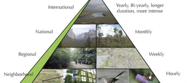 TNOC Encore: Exploring the Nature Pyramid