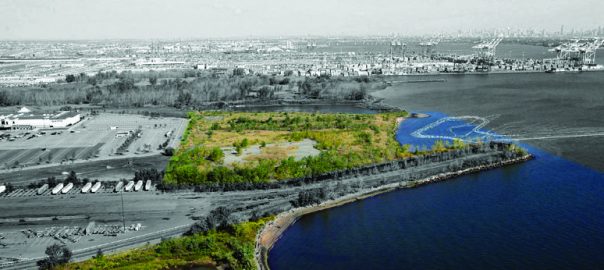 Designing Integrated Ecologies: Real Estate, Ecosystems, and Everyday Perception