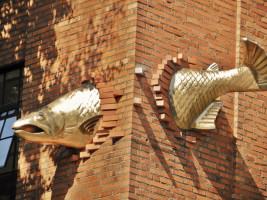 FishInWall