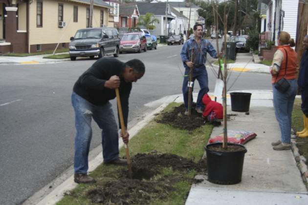 Post-Katrina Planting