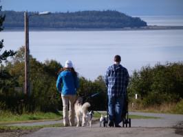 coastal trail dogwalkers