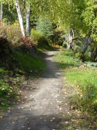 kincaid park single track trailB