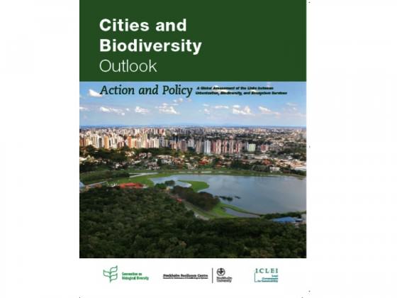 CBOBookCover