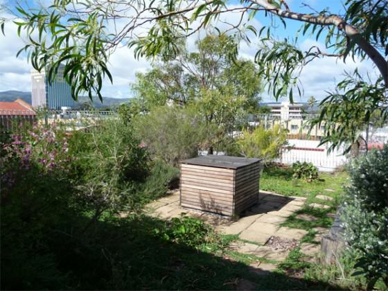 CW green roof