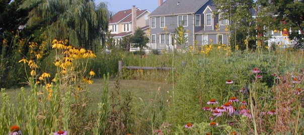 The Green Leap: Can We Construct Urban Communities that Conserve Biodiversity?