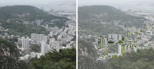 Putting Nature Back Into the Natural Beauty of Rio de Janeiro