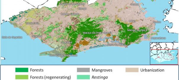 A Green Dream to Counter “Greenwashing” in Brazilian Cities