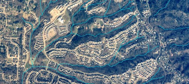 Biodiversity Planning: Finally Getting It Right in the Portland-Vancouver Metro Region