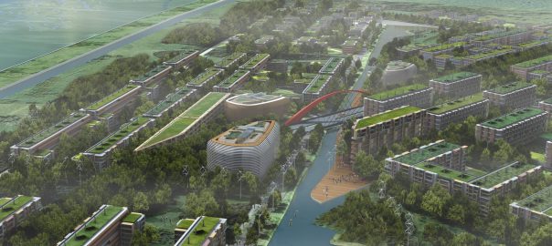 Highlights from The Nature of Cities in 2012