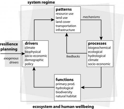 conceptual_framework