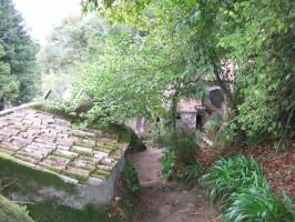 CapuchoPortugal