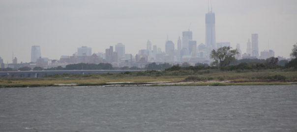 The Strategy of Sanderlings and the Tactics of Terrapins: What Was Hurricane Sandy Trying to Tell New York City?