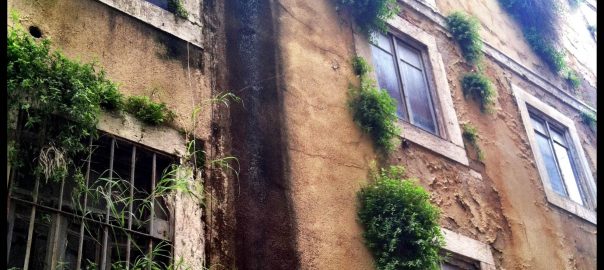 From Banlieue to Biophilia: Thinking About Nature as a Basis for Urban Design
