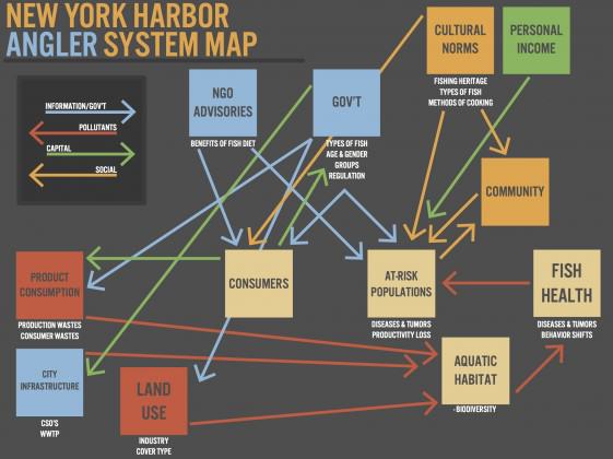 NYHarborAnglerSystemModel