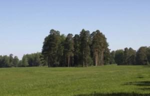 PavlovskyPark