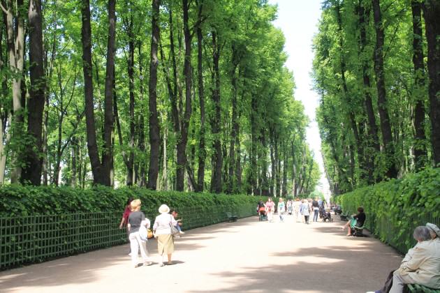 SummerGardenAfterRestoration