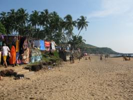 13_coastal wetlands and orchards impacted by tourism in Goa