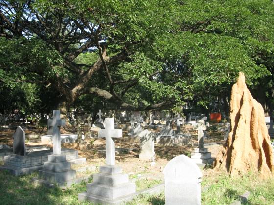 14_a historic cemetery in Bangalore with a protected sacred anthill