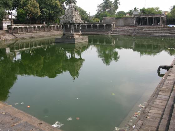 16_temple pond surrounded by vegetation in the city of Pondicherry