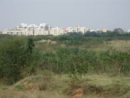 2_Conversion of urban green spaces to built spaces in Bangalore