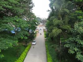 3_Religious institutions conserve green spaces - a heritage church campus in Bangalore