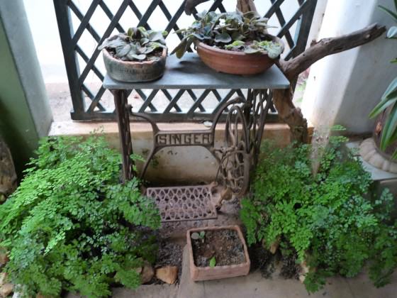 9_For those with determination, any place can be converted into a green corner