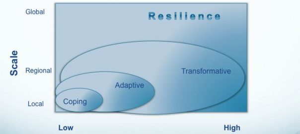 Urban Sustainability and Resilience—Why We Need to Focus on Scales