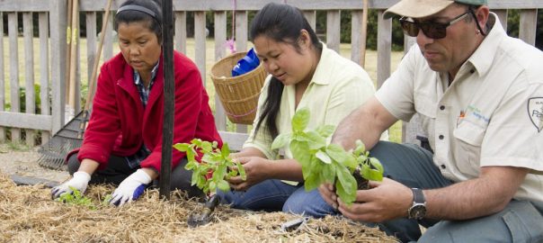 Working Beyond Park Boundaries to Benefit Public Health in Victoria, Australia