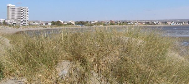 Vegetation Changes Associated with Coastal Tourist Urbanization