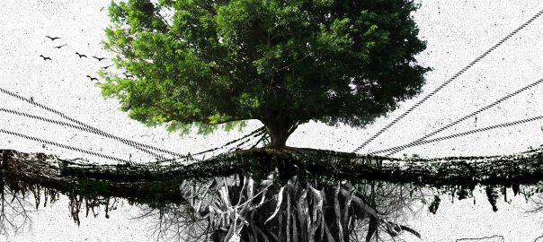 Prospective Urbanism—Using Science and Fiction to Imagine a New Way for Urban Nature