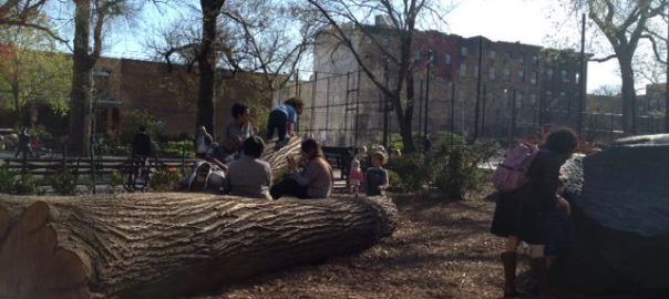 Rock, Tree, Human