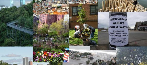 The Cities We Want: Resilient, Sustainable, and Livable