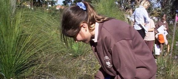 Naming and Claiming in Cities of Nature—Why We Should Worry About Our Inability to Recognize Common Species