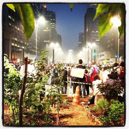 São Paulo durante as manifestações na Avenida Paulista, o centro econômico e financeiro da cidade visto de dentro da Horta do Ciclista trabalho do grupo de “Hortelões Urbanos” – cidadãos que estão preocupados com alimentação saudável e contato direto com a natureza. Crédito: Fernanda Danelon