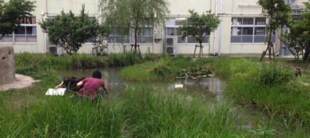 Stories of the Nature of Cities 1/2 Hour. Episode 1—Biodiversity