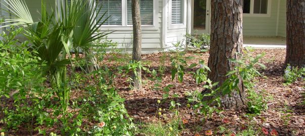 To Make Real Change for Urban Biodiversity—Follow the Money