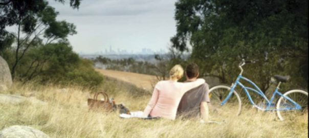 Expanding the Guest List at City Parks