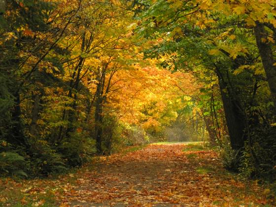 A rural section of the popular Galloping Goose Regional Trail in autumn. Photo by Bev Hall.