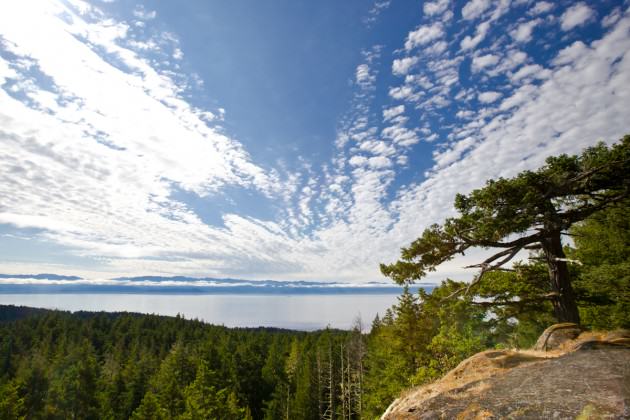 View from Babbington Hill, East Sooke Regional Park. Photo by Mary Sanseverino.