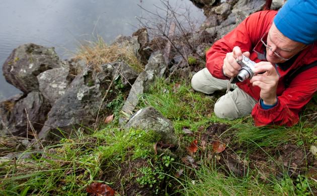 Photographing a rough-skinned newt. Photo by Mary Sanseverino.