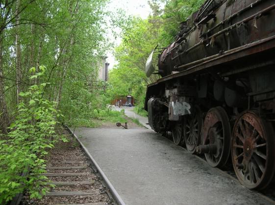 The Schöneberger Südgelände, was an originally desolate freight railyard built between 1880–1890, mostly abandoned since1952. Photo: Ana Faggi