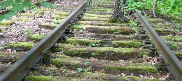 The Power of Unkempt Wilderness in the Hearts of Berlin and Buenos Aires