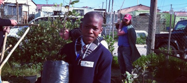 Encountering “The Nature of Cities” through Tree Planting