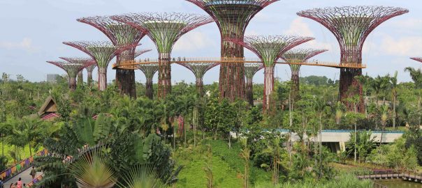 The Urban-Nature Continuum: Different ‘Natures’, Different Goals