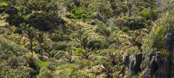 To See Biodiversity Downunder, Visit a National Park…or a City
