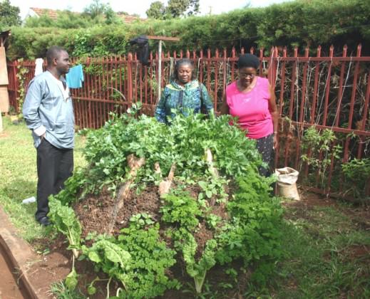 Kyanja Edible Landscape Project, agriculture and biodiversity, Kampala City Council 2008